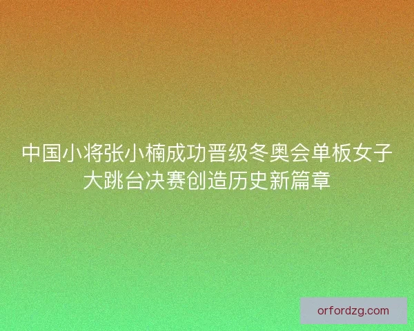 中国小将张小楠成功晋级冬奥会单板女子大跳台决赛创造历史新篇章