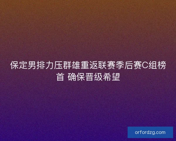 保定男排力压群雄重返联赛季后赛C组榜首 确保晋级希望
